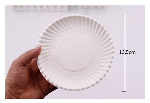 创新教学与实用批发 一次性纸盘子绘画在幼儿园手工活动中的多功能应用